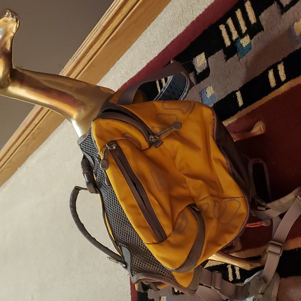 Dog hiking backpack